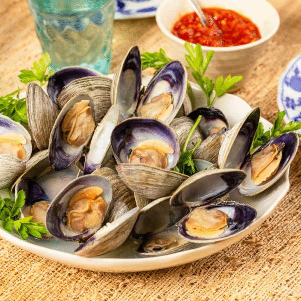 Mollusks Coming Soon