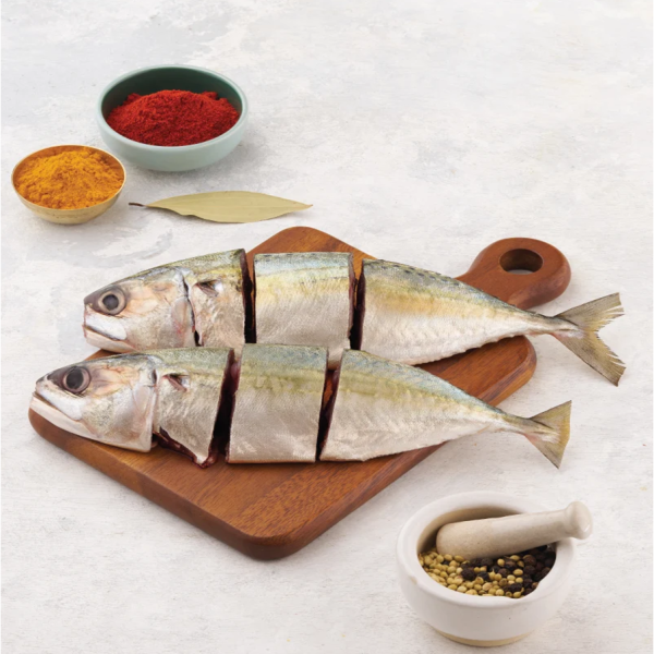 MACKEREL | కానాగరత (CURRY CUT)